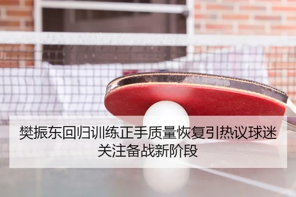 樊振东回归训练正手质量恢复引热议球迷关注备战新阶段 | BAJIESPORTS